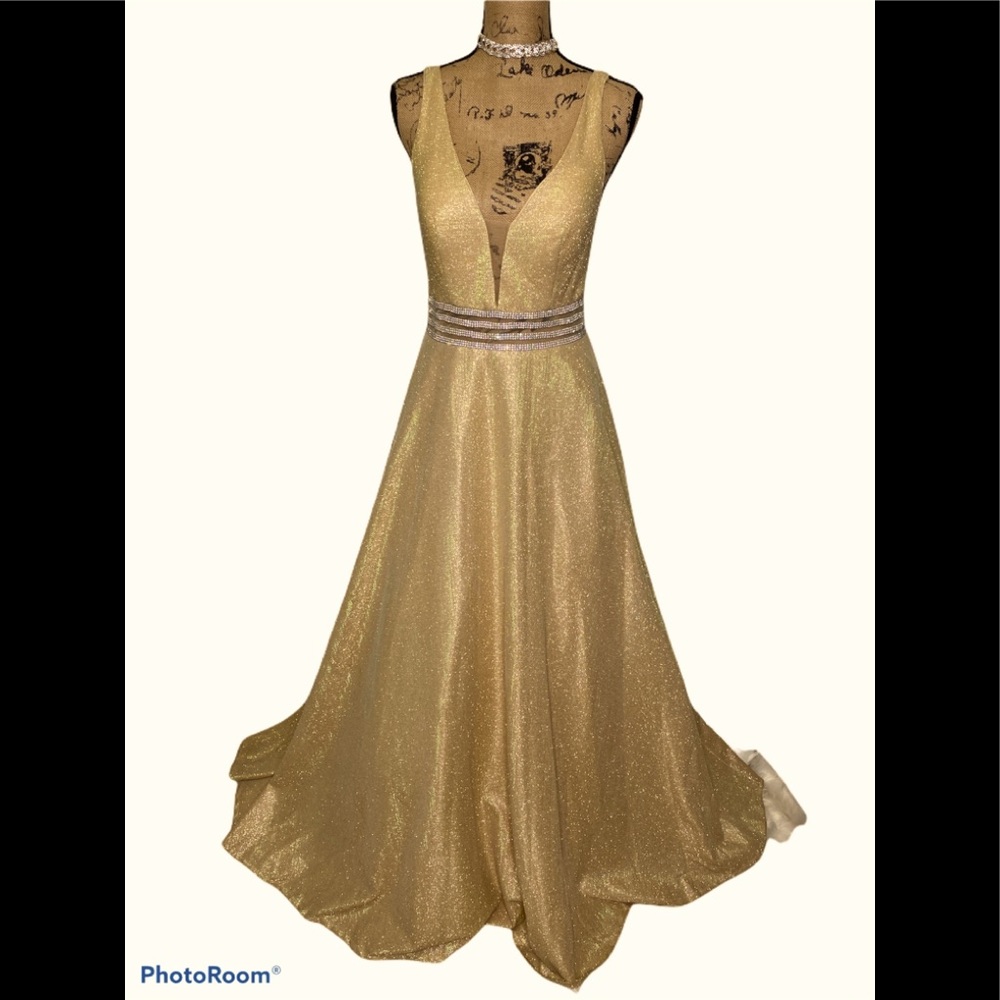 CINDERELLA DIVINE Gown size 12